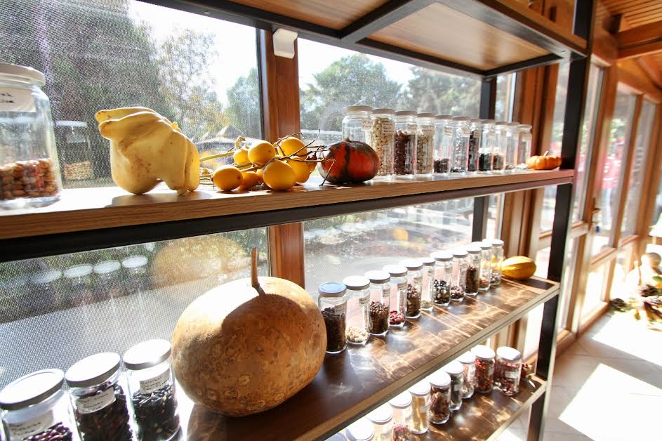 Tugay “Yerel tohumları koruyor ve toprakla buluşturuyoruz”