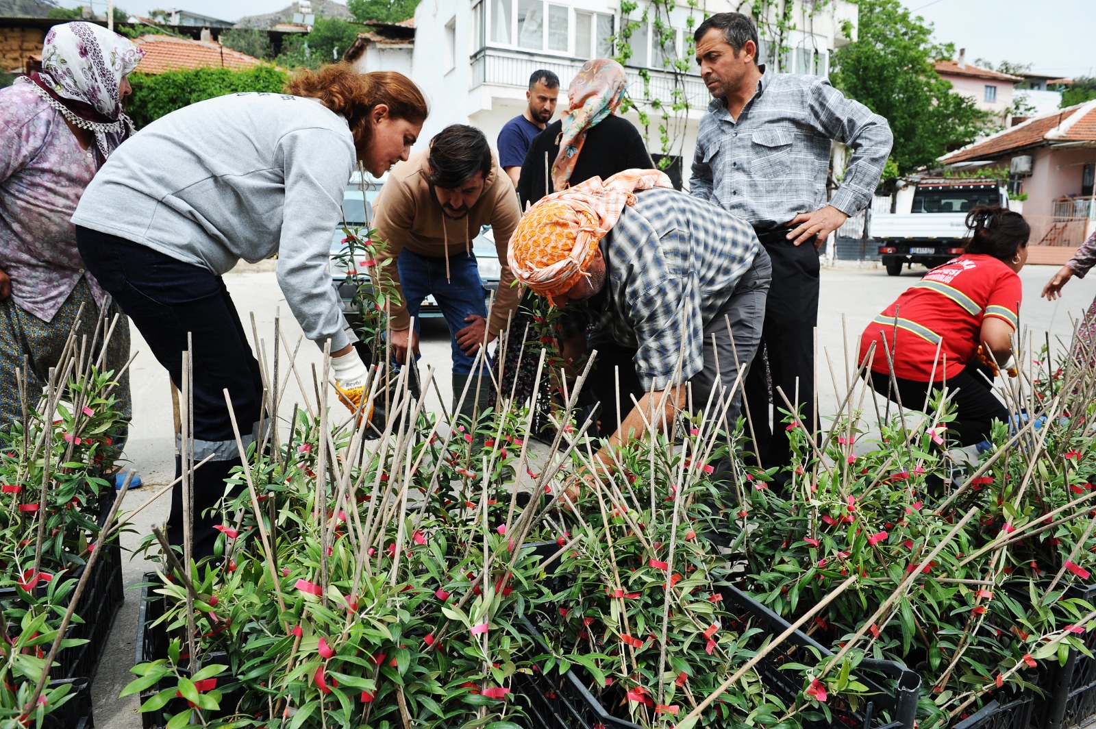 Karşıyaka Belediyesi’nden Sancaklı’da fidan dayanışması
