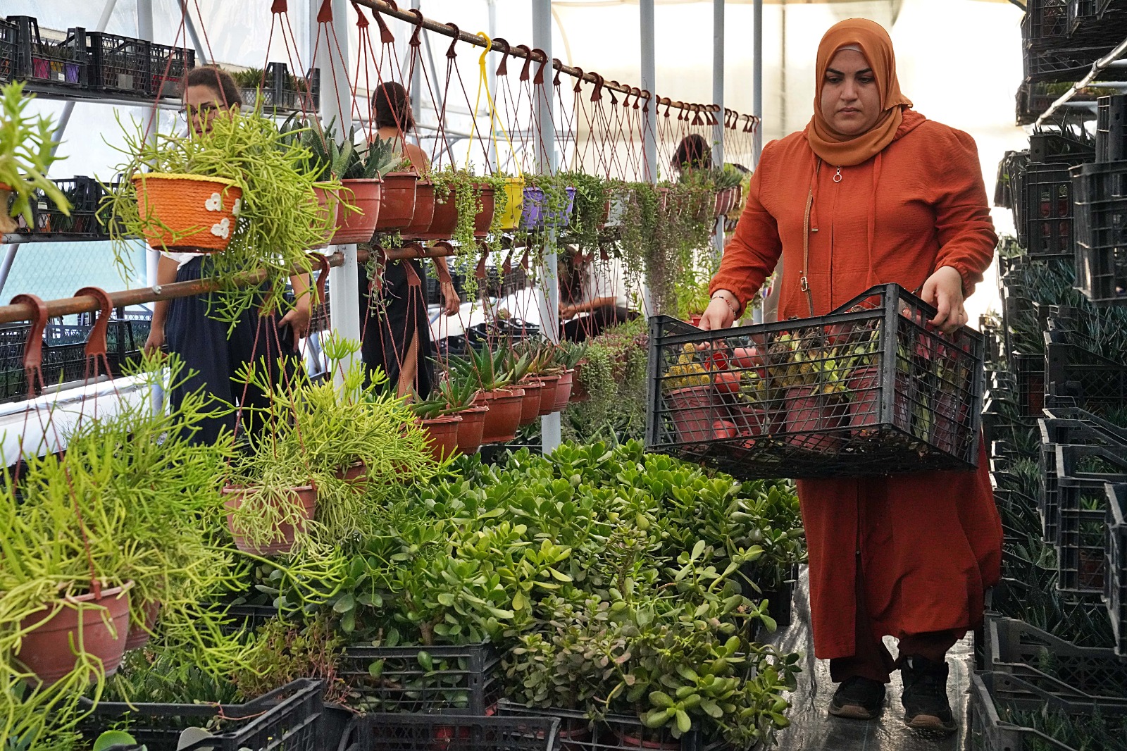 Hem tohumlar hem kadınlar güçleniyor
