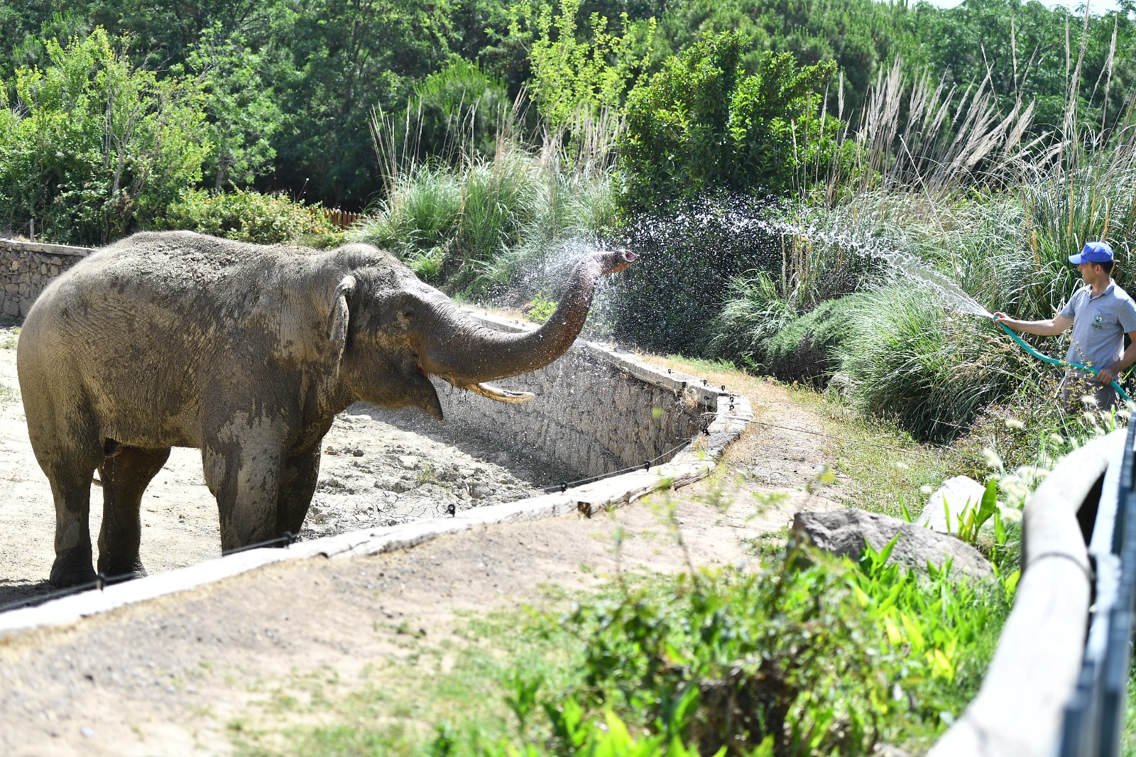 Doğal Yaşam Parkı sakinlerini serinleten menü