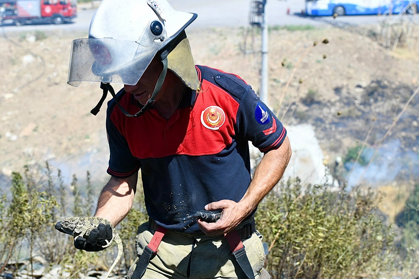 İzmir İtfaiyesi bukalemunu hayata döndürdü