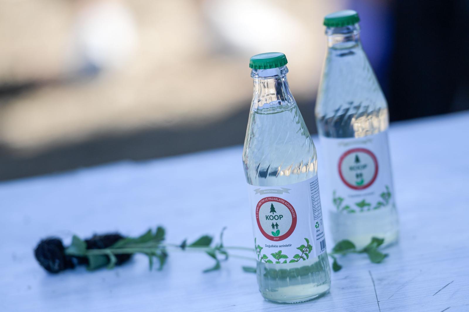 Stevia (şeker otu) sıfır şekerli gazoza dönüştü  