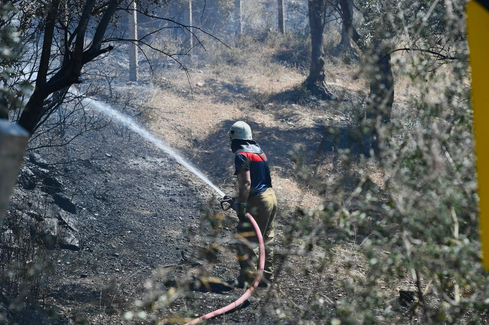 Kavurucu sıcaklarda zamanla yarış.  İzmir İtfaiyesi alevlere karşı nöbette