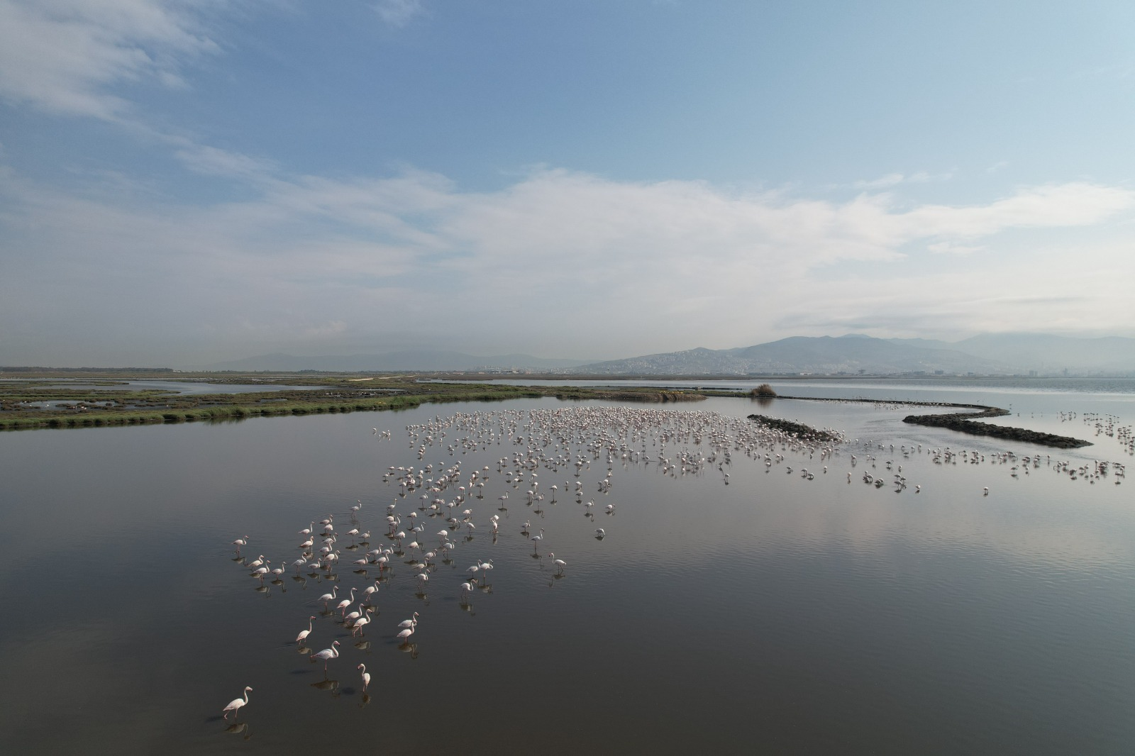Yaşayan Körfez programı ile Körfez’deki iyileşme hızlandı