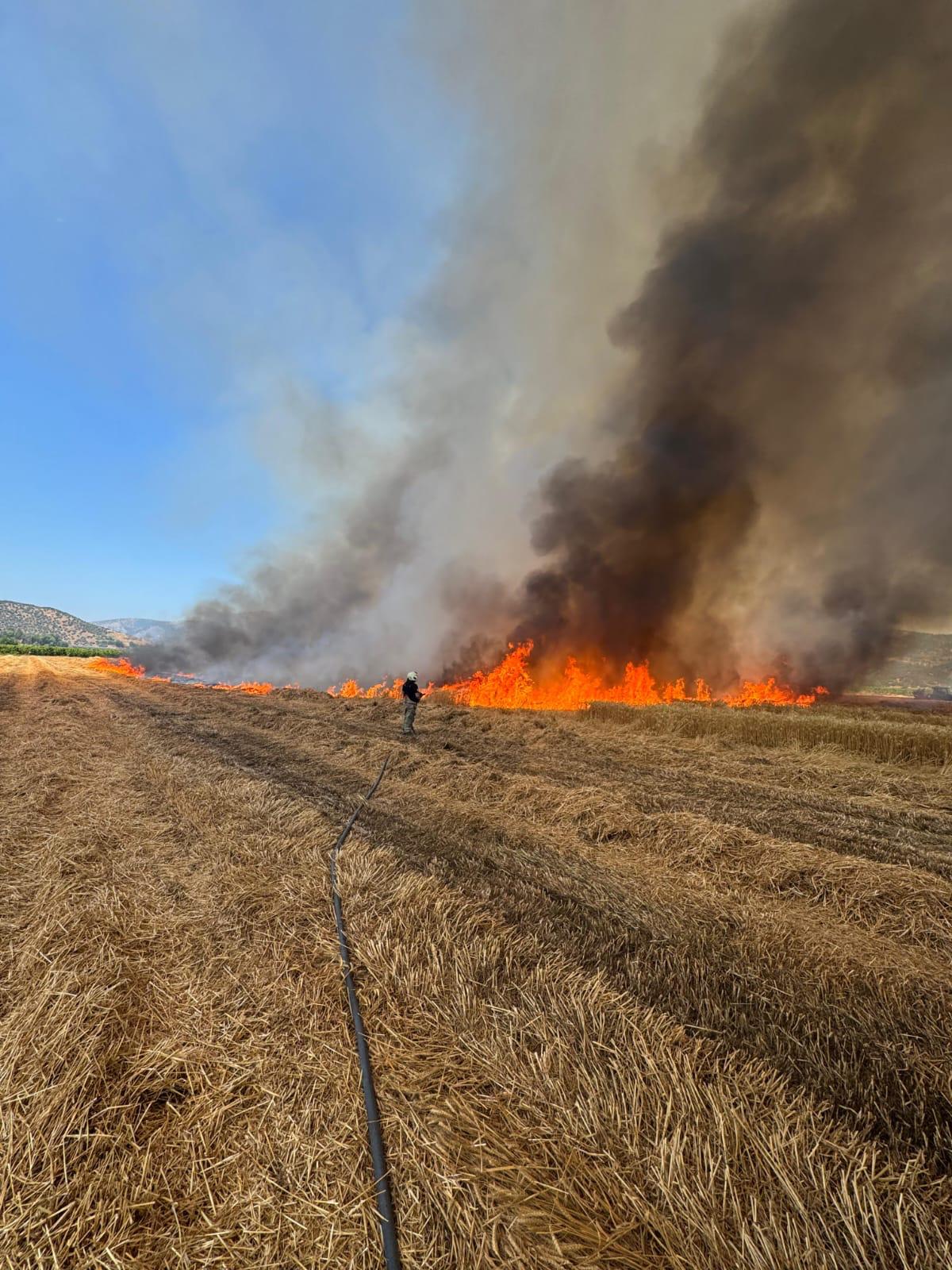 İzmir İtfaiyesi son 48 saatte 220 yangına müdahale etti