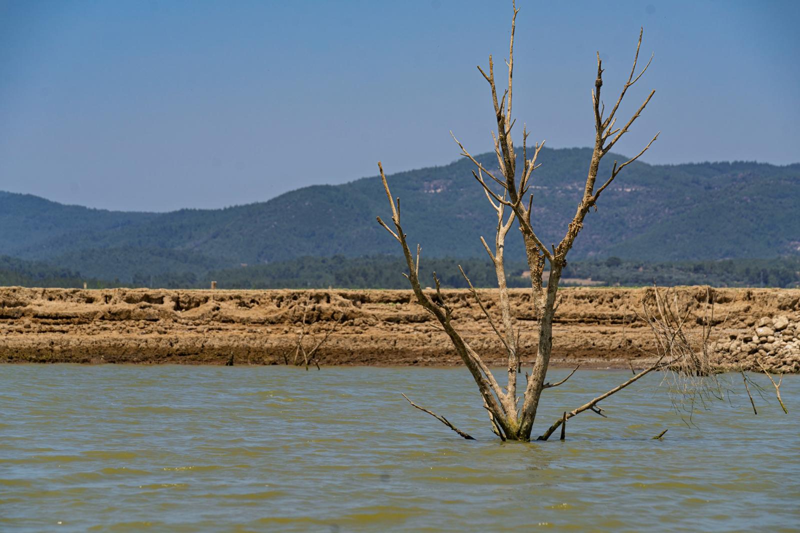 Barajlardaki doluluk oranı kritik seviyede.  İZSU vatandaşları su tasarrufuna davet ediyor
