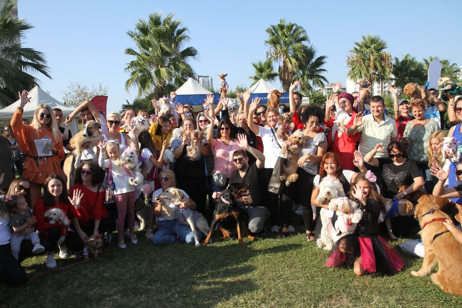 Can dostlar ‘Patifest’te yeni yuvalara kavuşacak