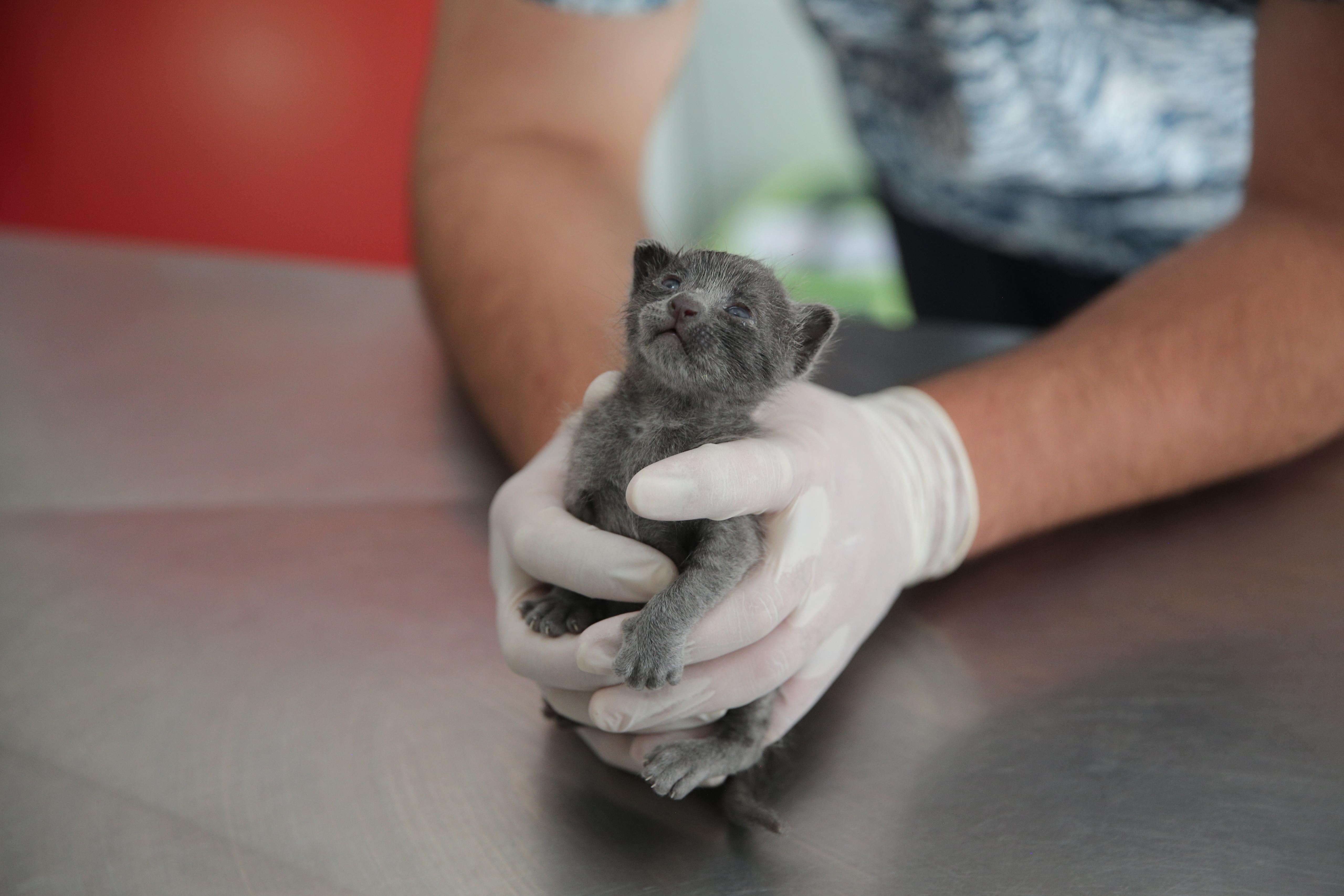 Konak’ta çöpten ‘Umut’ doğdu