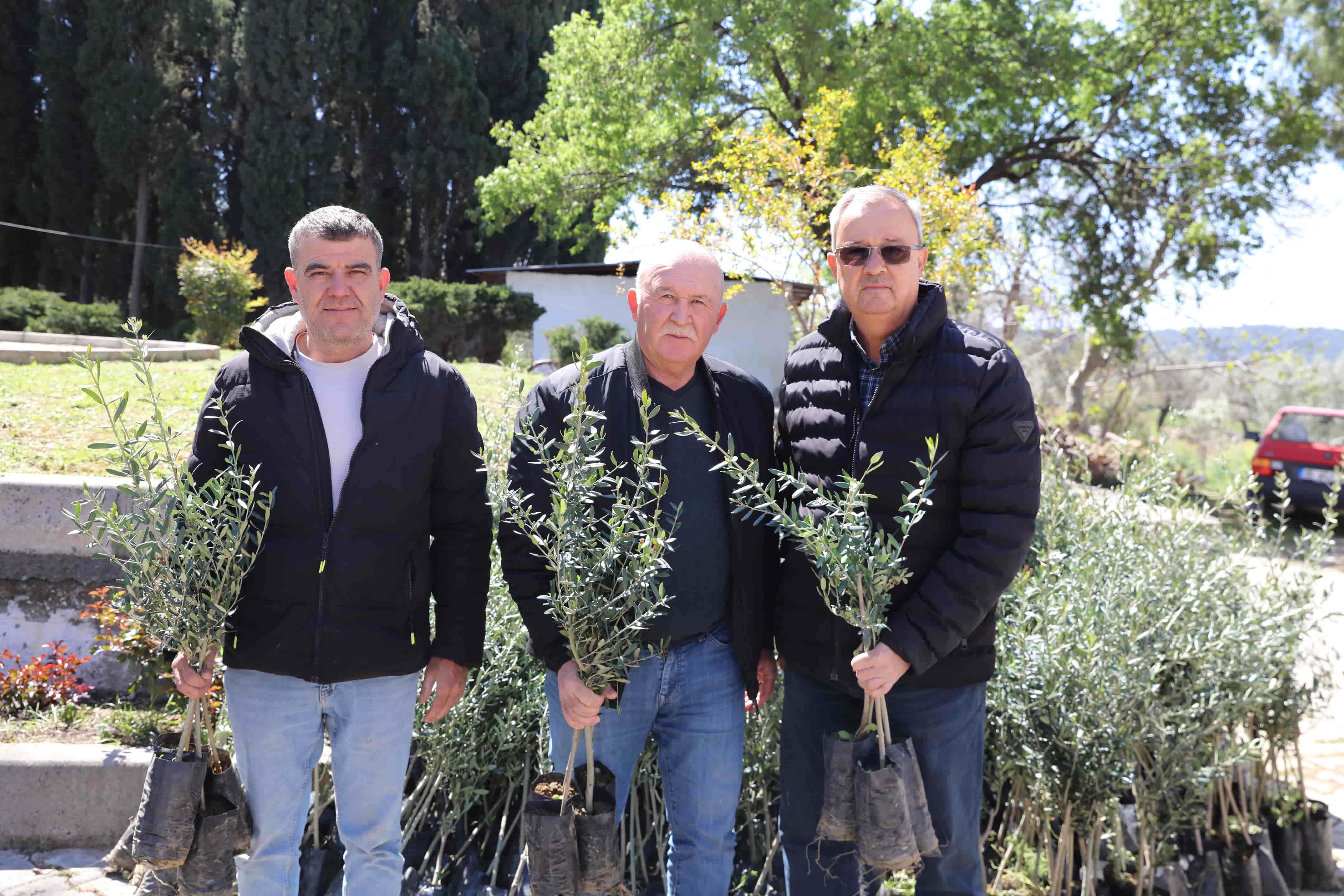 Urla’da zeytin seferberliği 20 mahalleye fidan desteğiUrla’da zeytin seferberliği 20 mahalleye fidan desteği