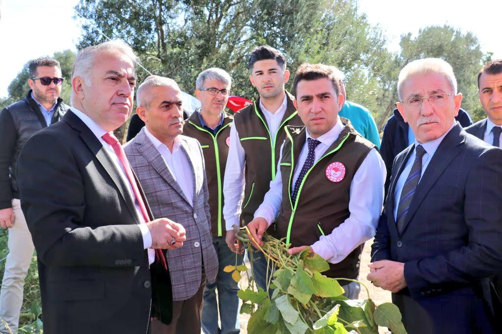 YERLİ VE MİLLİ ÇEŞİTLER HAYVANCILIĞA DA KATKI SAĞLIYOR