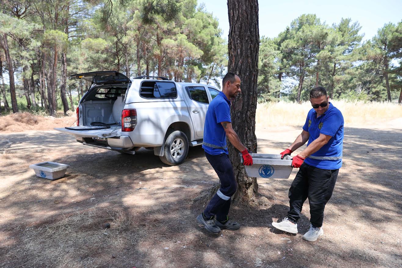 Buca Belediyesi’nden can dostları için hayati hamle