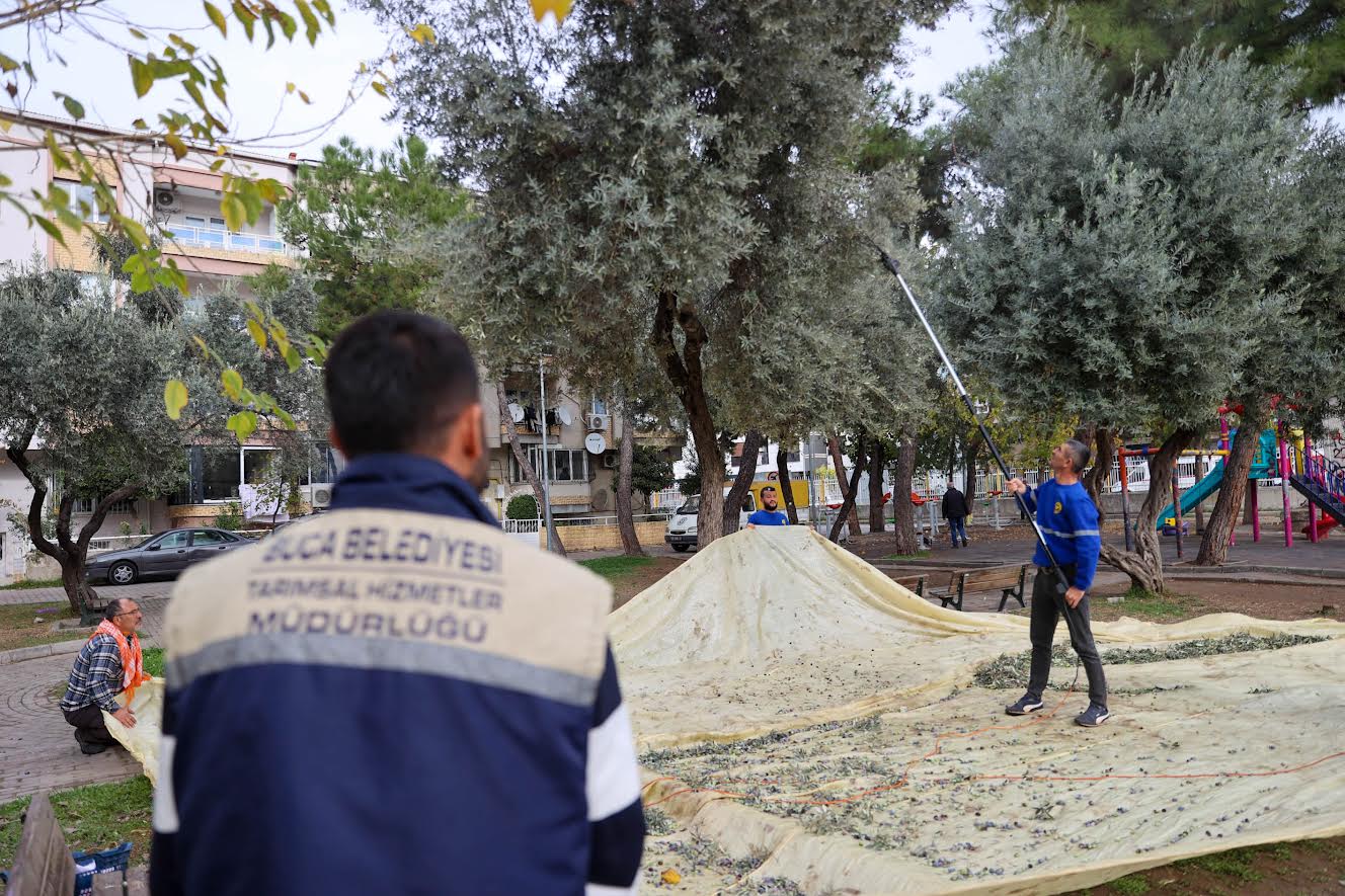 Buca’da dayanışma için hasat zamanı