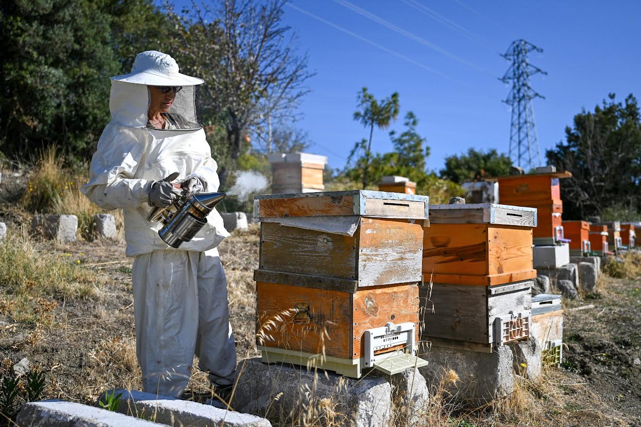 Doğayı koruma ve yerel üretime tam destek