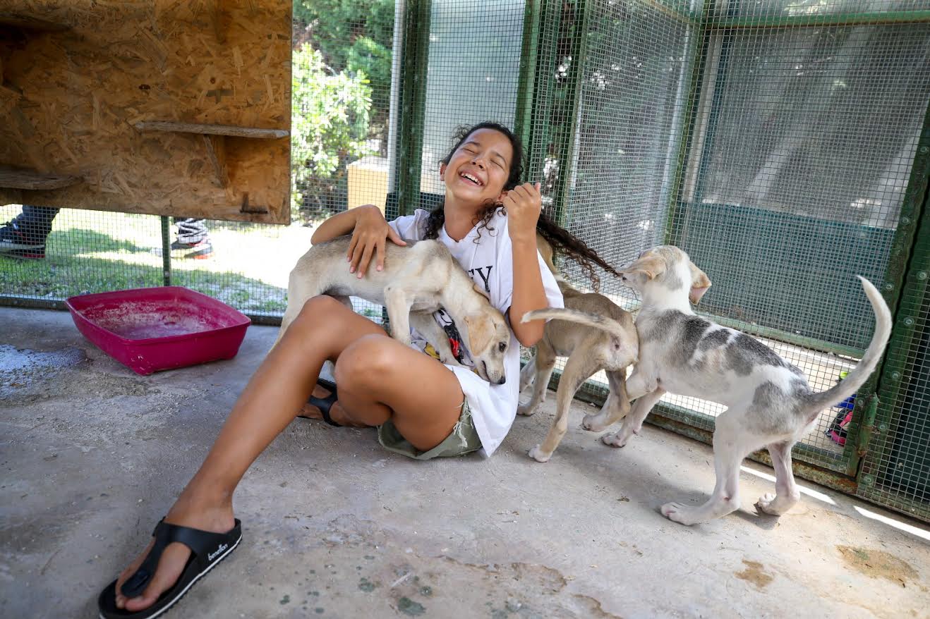 Karşıyaka’da can dostlar için 25 ton mama toplandı